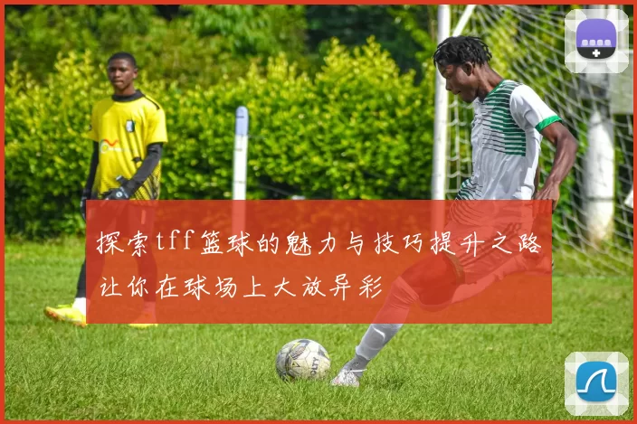 探索tff篮球的魅力与技巧提升之路让你在球场上大放异彩